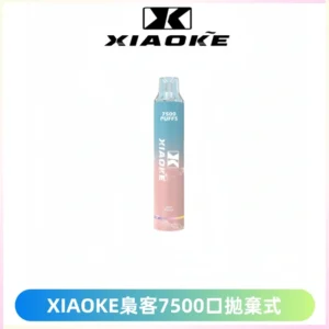 XIAOKE梟客7500Puffs跑馬燈拋棄式電子煙 可發光一次性